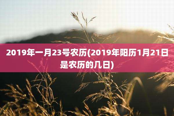 2019年一月23号农历(2019年阳历1月21日是农历的几日)