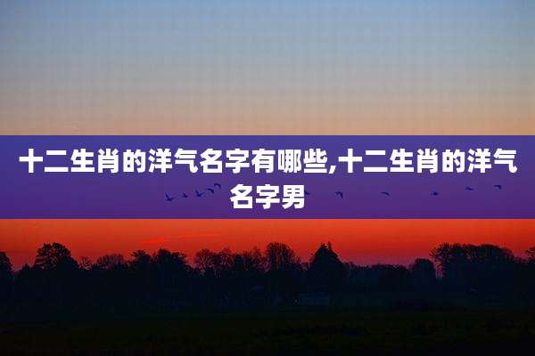 十二生肖的洋气名字有哪些,十二生肖的洋气名字男