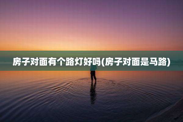 房子对面有个路灯好吗(房子对面是马路)