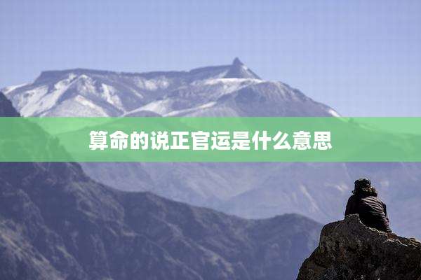 算命的说正官运是什么意思
