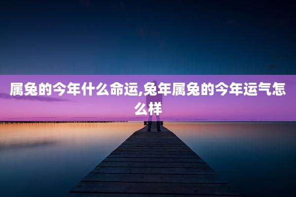 属兔的今年什么命运,兔年属兔的今年运气怎么样