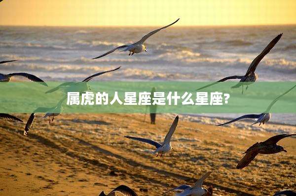 属虎的人星座是什么星座?