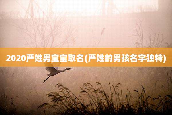2020严姓男宝宝取名(严姓的男孩名字独特)