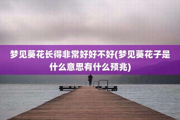 梦见葵花长得非常好好不好(梦见葵花子是什么意思有什么预兆)