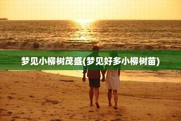 梦见小柳树茂盛(梦见好多小柳树苗)