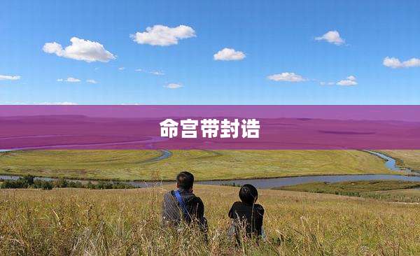 命宫带封诰