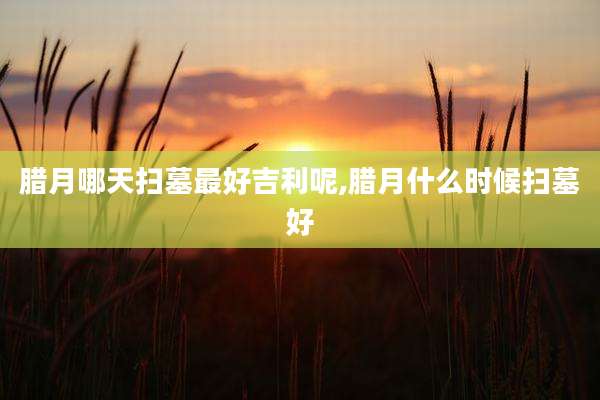 腊月哪天扫墓最好吉利呢,腊月什么时候扫墓好