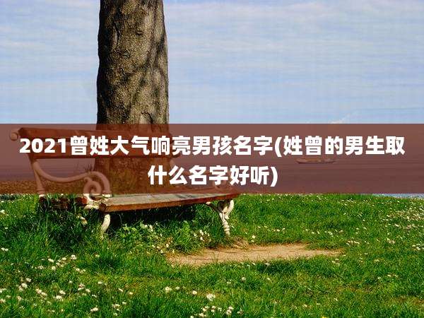 2021曾姓大气响亮男孩名字(姓曾的男生取什么名字好听)