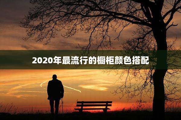 2020年最流行的橱柜颜色搭配
