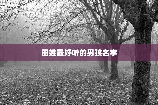 田姓最好听的男孩名字