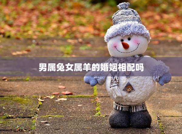 男属兔女属羊的婚姻相配吗