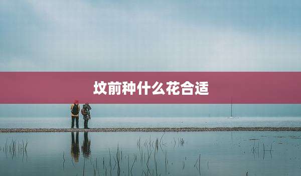 坟前种什么花合适