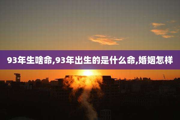 93年生啥命,93年出生的是什么命,婚姻怎样