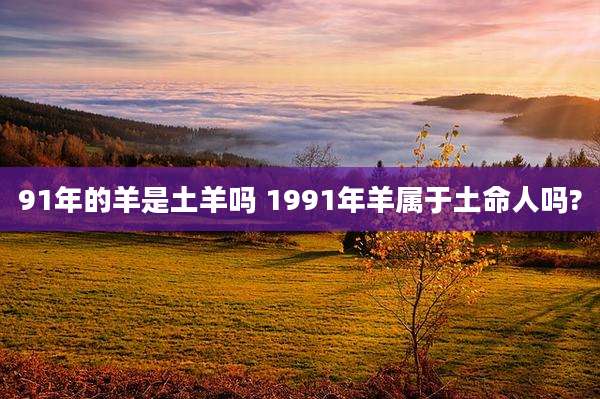 91年的羊是土羊吗 1991年羊属于土命人吗?