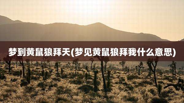 梦到黄鼠狼拜天(梦见黄鼠狼拜我什么意思)