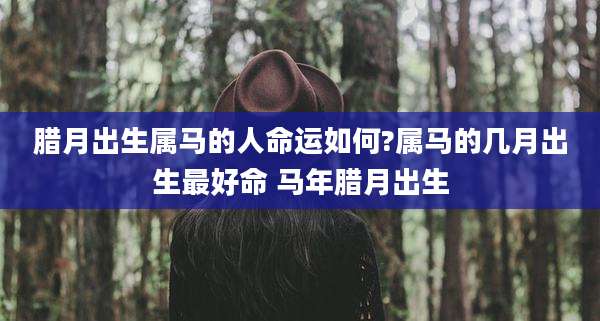 腊月出生属马的人命运如何?属马的几月出生最好命 马年腊月出生