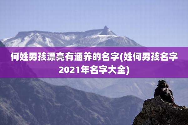 何姓男孩漂亮有涵养的名字(姓何男孩名字2021年名字大全)
