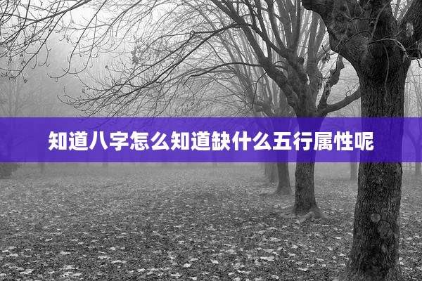 知道八字怎么知道缺什么五行属性呢