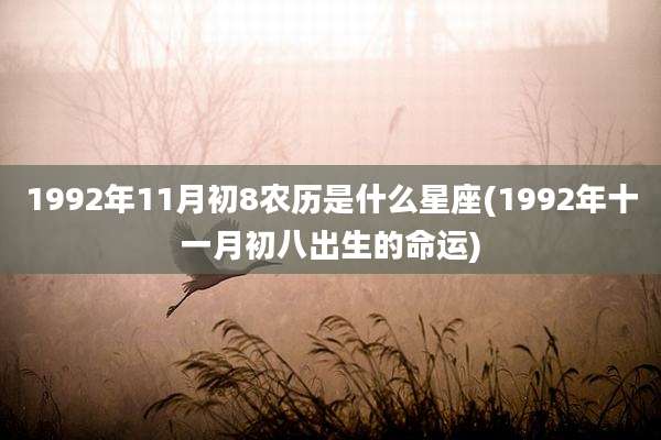 1992年11月初8农历是什么星座(1992年十一月初八出生的命运)