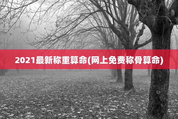 2021最新称重算命(网上免费称骨算命)