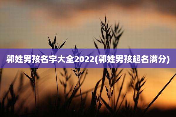 郭姓男孩名字大全2022(郭姓男孩起名满分)