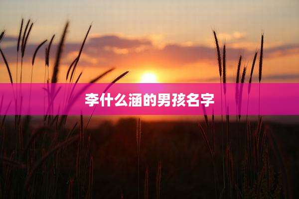 李什么涵的男孩名字