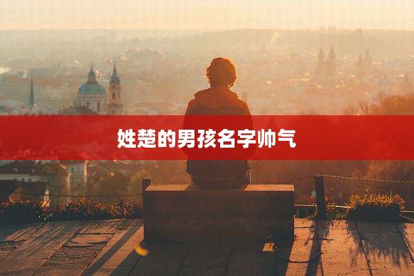 姓楚的男孩名字帅气