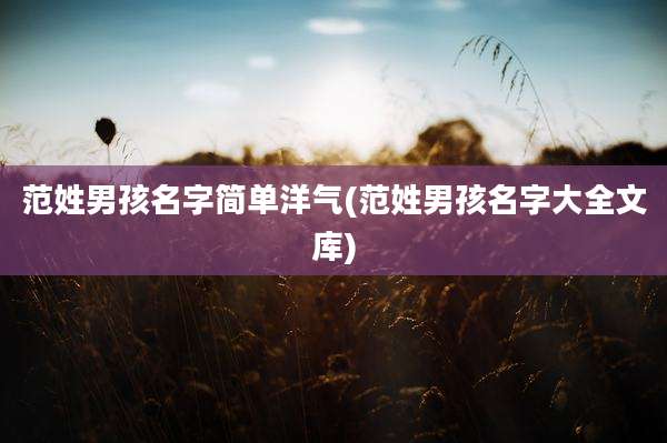 范姓男孩名字简单洋气(范姓男孩名字大全文库)