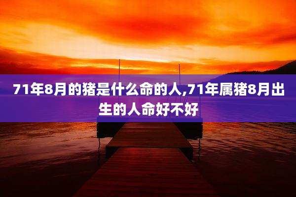 71年8月的猪是什么命的人,71年属猪8月出生的人命好不好
