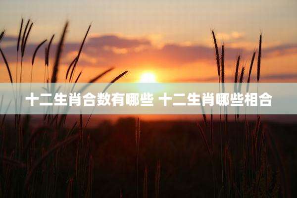十二生肖合数有哪些 十二生肖哪些相合