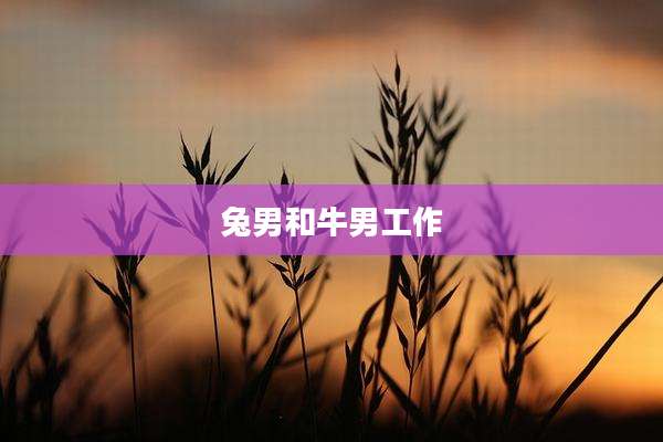 兔男和牛男工作