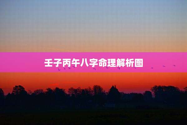壬子丙午八字命理解析图