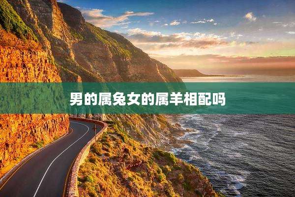 男的属兔女的属羊相配吗