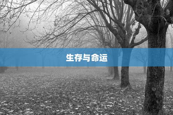 生存与命运