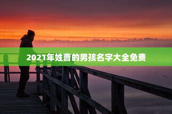 2021年姓曹的男孩名字大全免费