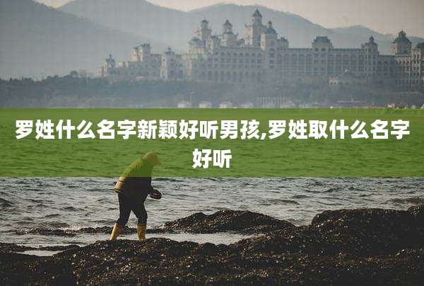 罗姓什么名字新颖好听男孩,罗姓取什么名字好听