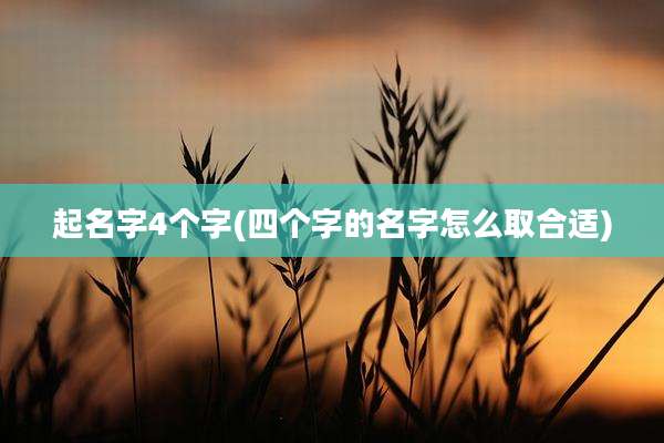 起名字4个字(四个字的名字怎么取合适)