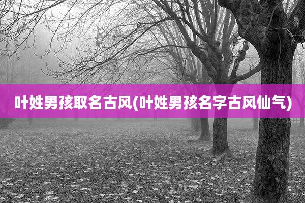 叶姓男孩取名古风(叶姓男孩名字古风仙气)