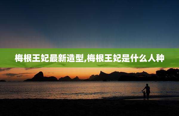 梅根王妃最新造型,梅根王妃是什么人种