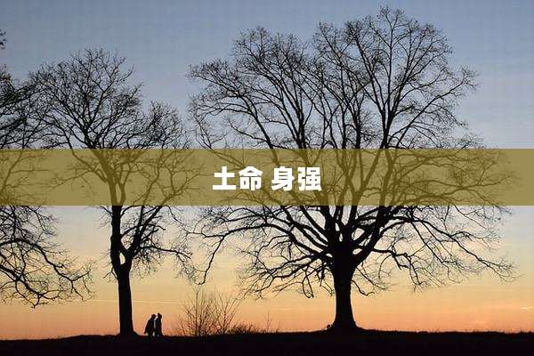 土命 身强