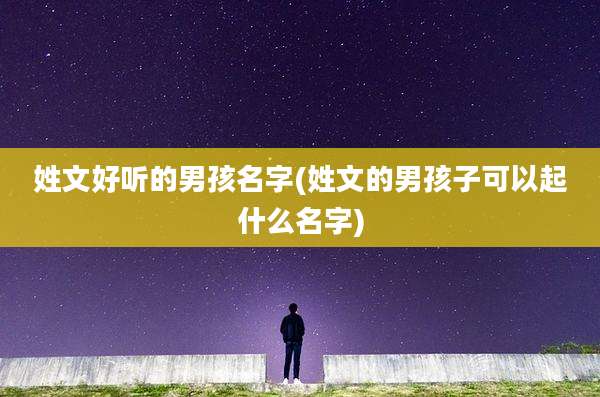 姓文好听的男孩名字(姓文的男孩子可以起什么名字)