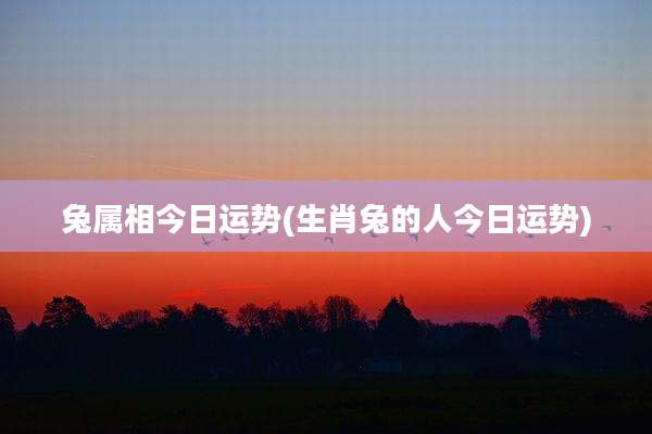 兔属相今日运势(生肖兔的人今日运势)