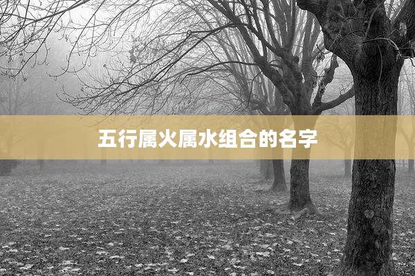 五行属火属水组合的名字