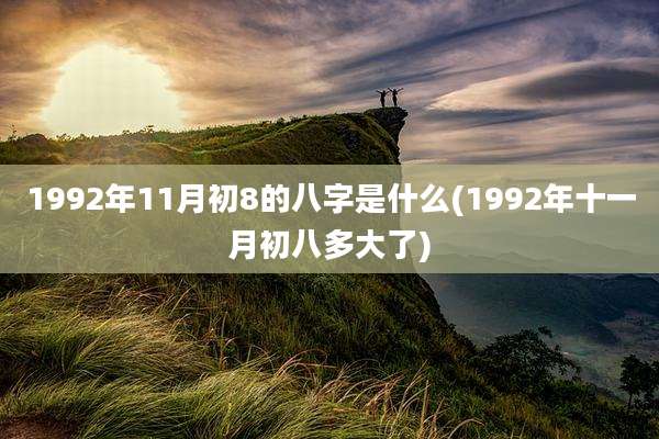 1992年11月初8的八字是什么(1992年十一月初八多大了)