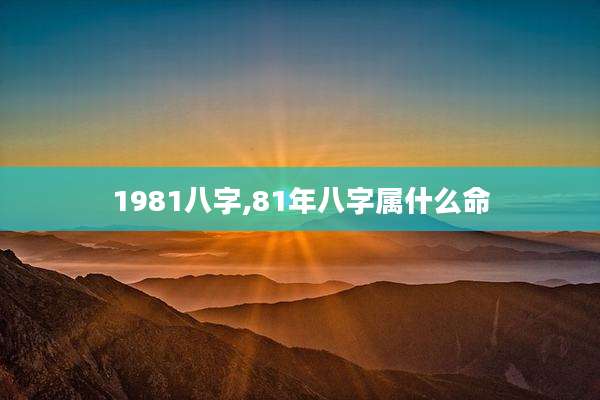 1981八字,81年八字属什么命