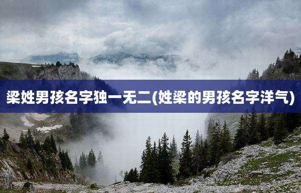 梁姓男孩名字独一无二(姓梁的男孩名字洋气)