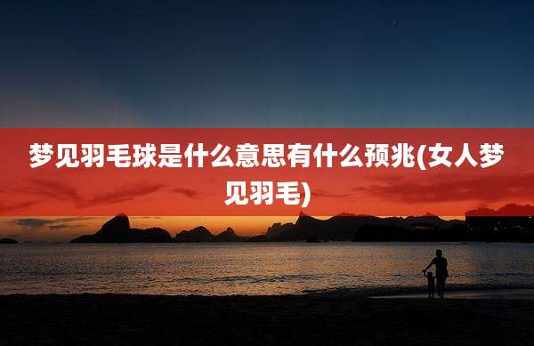 梦见羽毛球是什么意思有什么预兆(女人梦见羽毛)