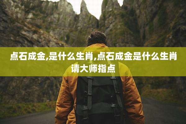 点石成金,是什么生肖,点石成金是什么生肖请大师指点
