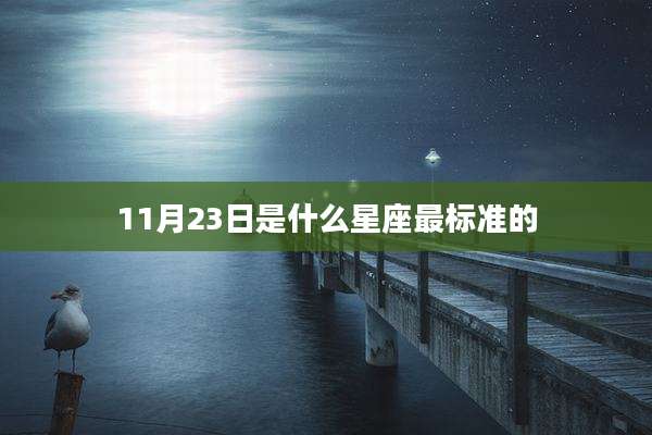 11月23日是什么星座最标准的