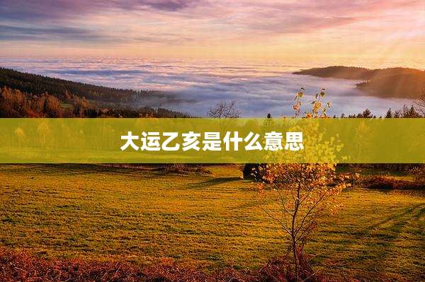 大运乙亥是什么意思